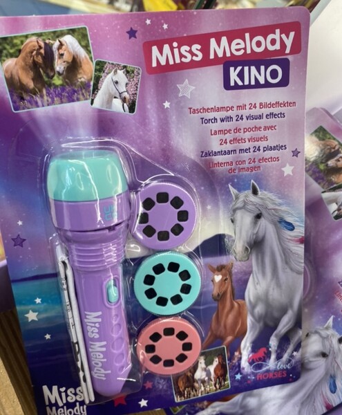 Lampe de poche BROZE