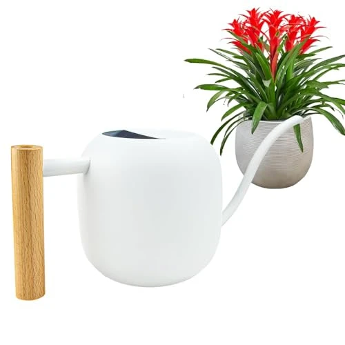 LPAMABA Arrosoir en Acier Inoxydable, 1200 ML Arrosoir Jardin Metal Petit Arrosoir à Long Bec Arrosoir Plante d'Intérieur Arrosoir Bec Fin Long Arrosoir Metal Petit Arrosoir Plante Arrosoir en Métal