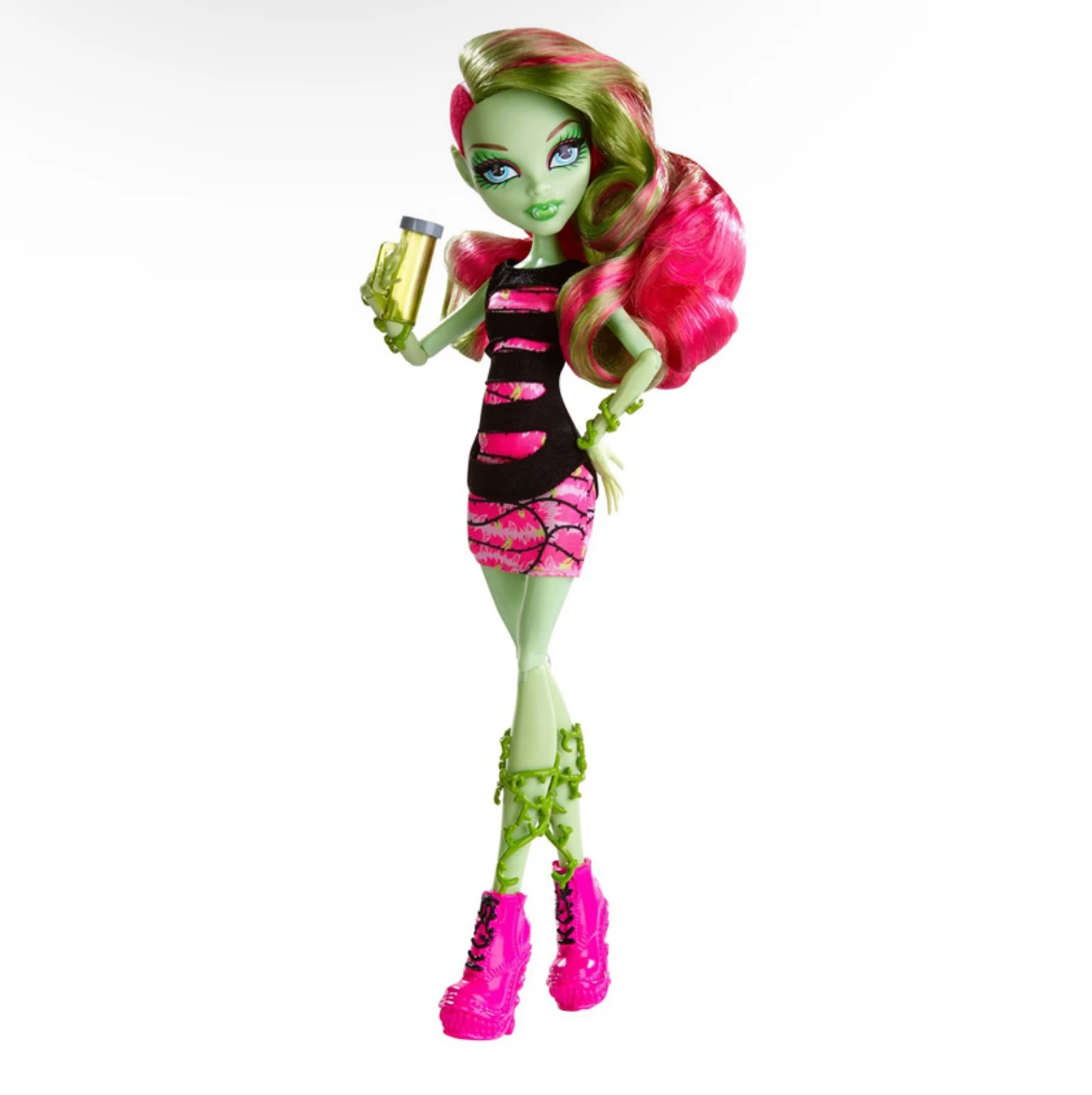 venus coffin bean