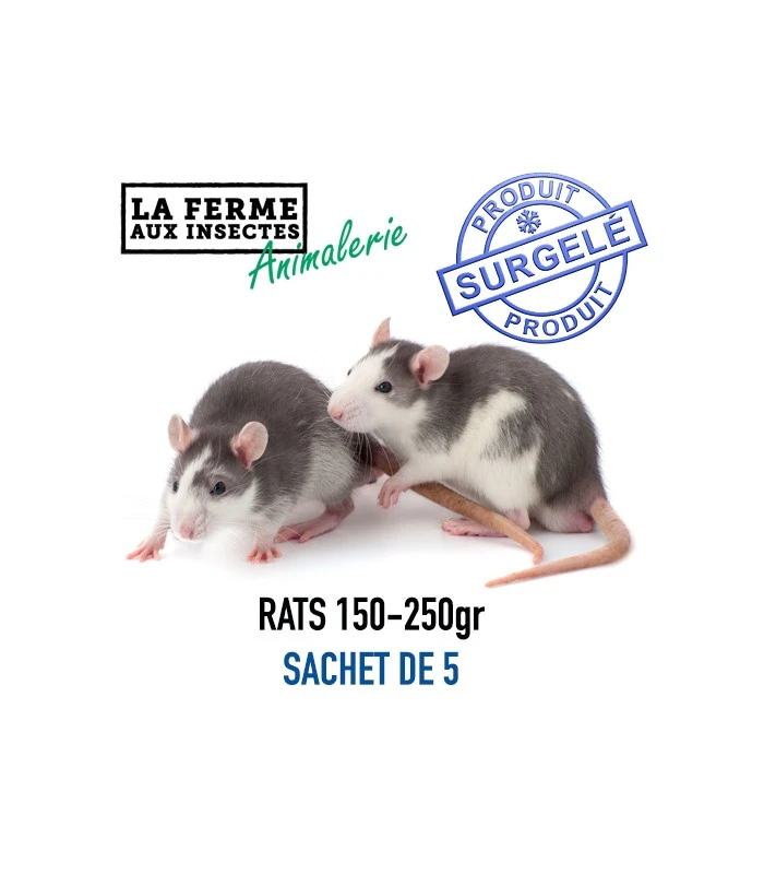 RATS 150-250 gr SACHET DE 5