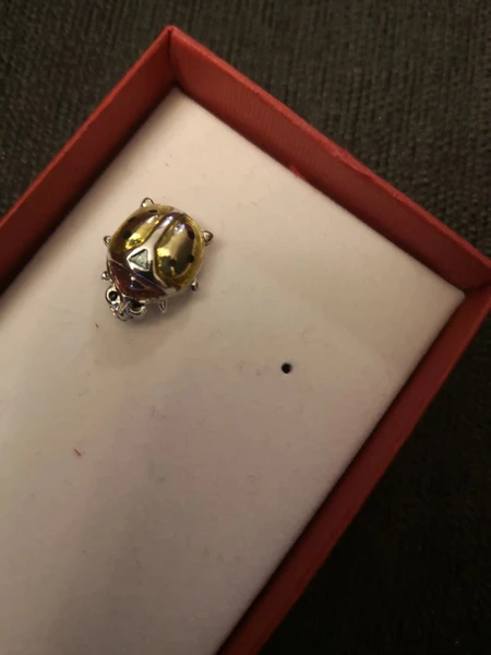 Pins Sonia Rykiel