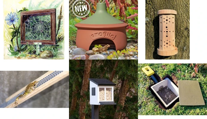 faune et flore de mes terre