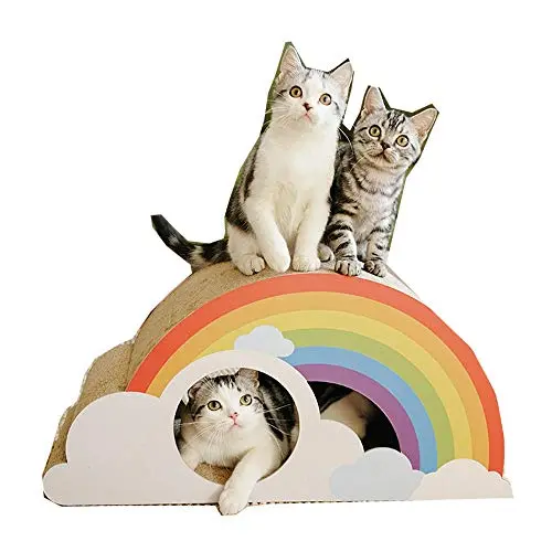 Griffoir arc-en-ciel