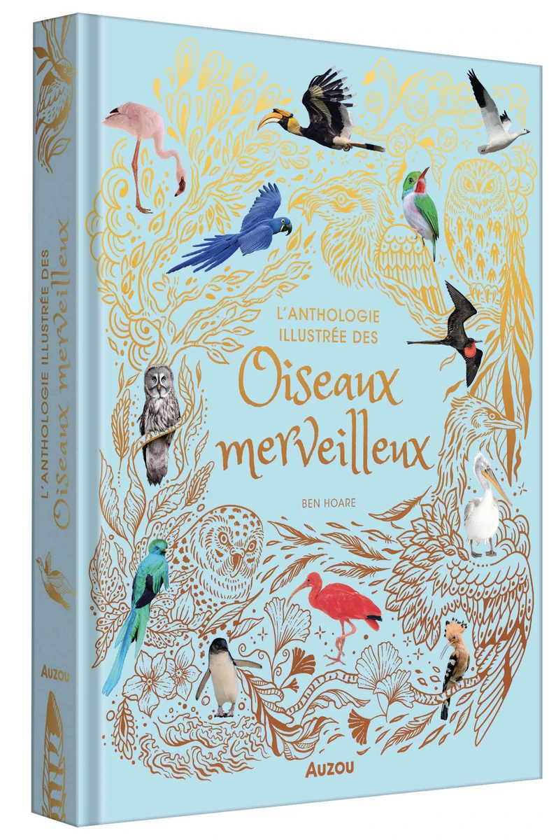 L'anthologie illustrée des oiseaux merveilleux - Livres enfants - Auzou
