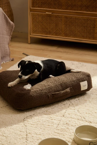 Coussin de sol pour animaux de compagnie Taico Brown