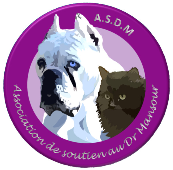 Nos chiens à adopter
