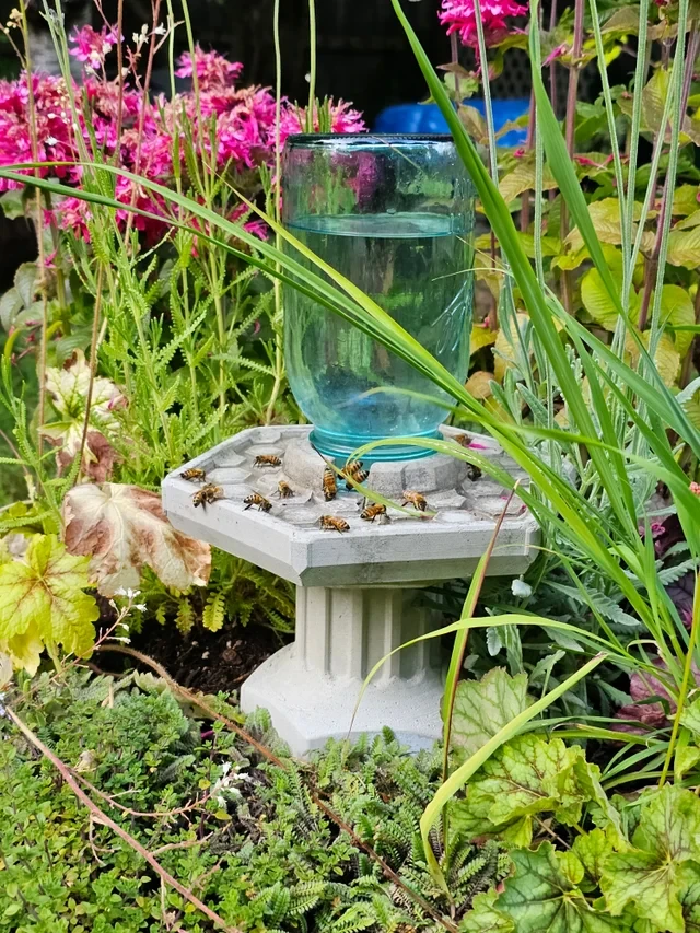 Shop Bee Oasis Nexus – The Ultimate Honeybee Hydration Solution