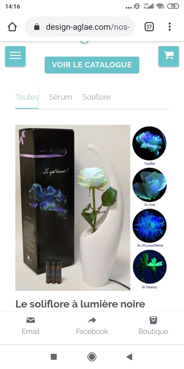 découvrez la magie du végétal luminescent !
