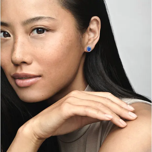 Clous d'Oreilles Halo Spectaculaire Scintillants