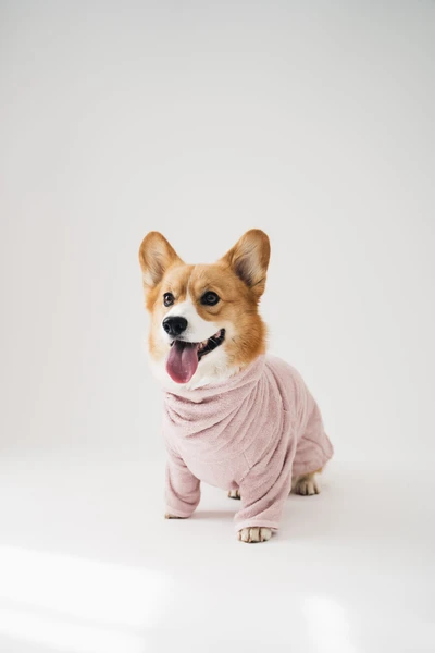 Bathrobe Blush Pink - lou & co.