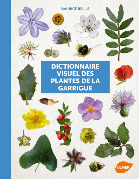 Dictionnaire visuel des plantes de la garrigue et du Midi