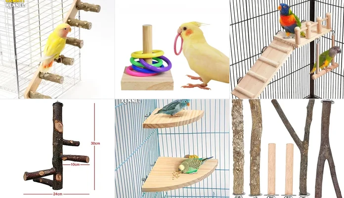 Birds care 🐦