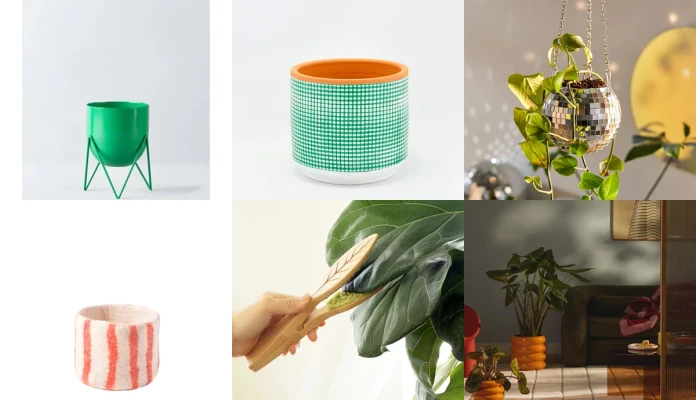 🪴 Plantes et cache-pots
