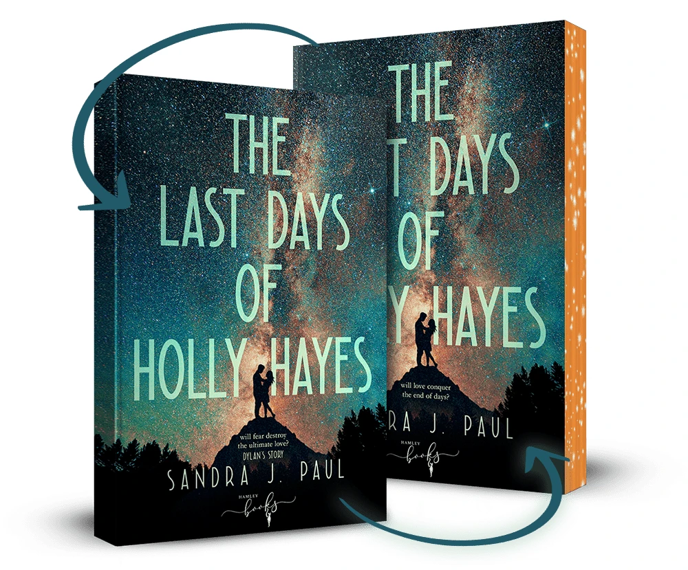 The Last Days of Holly Hayes - Hamley Books Uitgeverij