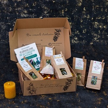 COFFRET DE NOËL & LIVRE CUEILLETTE
