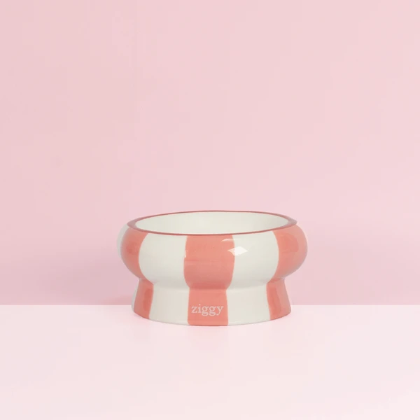 Gamelle pour chat - Cool Cat Club