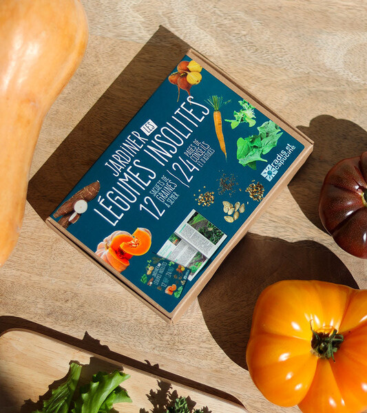 Légumes insolites à faire pousser