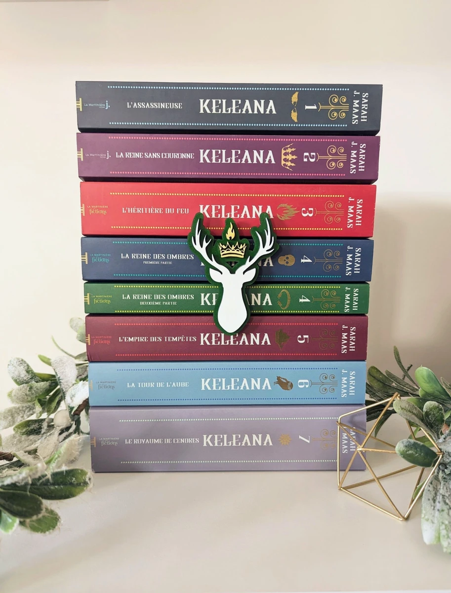 Décoration bibliothèque thème Throne of glass