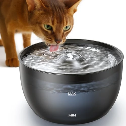 Fontaine à eau pour Vivi