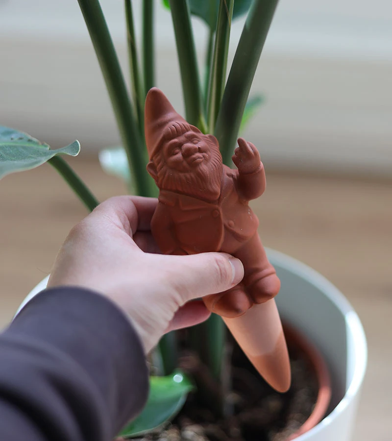 Gnome Terracotta irrigateur de plantes