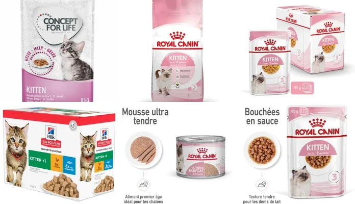 Besoin chatons (zooplus)