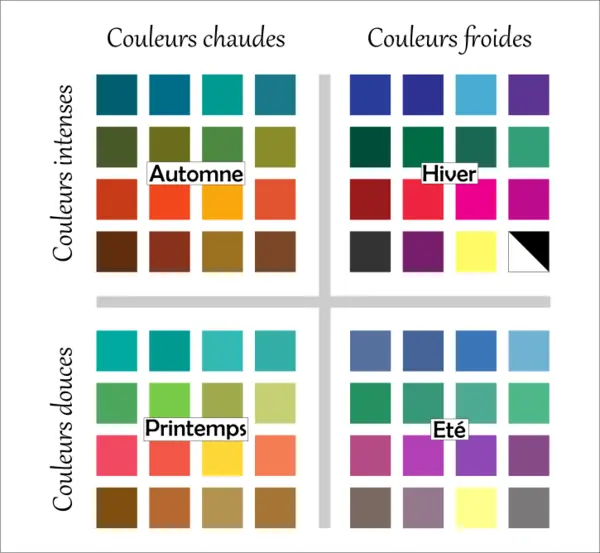 Consultation en colorimetrie