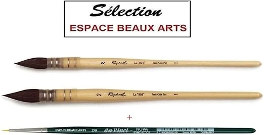 Raphael Serie 803 Pinceaux Lavis Aquarelle Petit Gris Pur Monte sur Plume ,N0, 0 , 2 +1 DaVinci 1570
