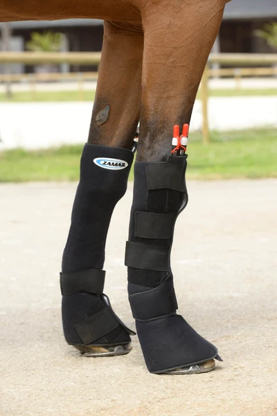 ZAMAR Enveloppes pour les Membres