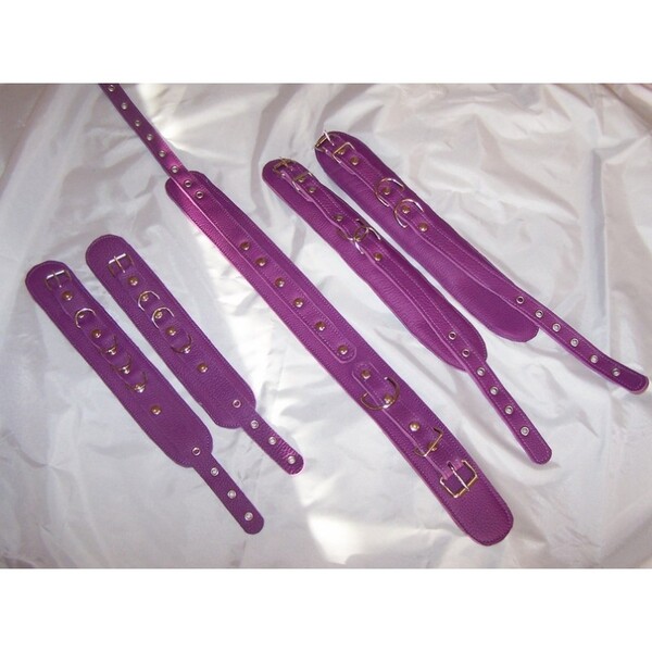 Ensemble bdsm cuir