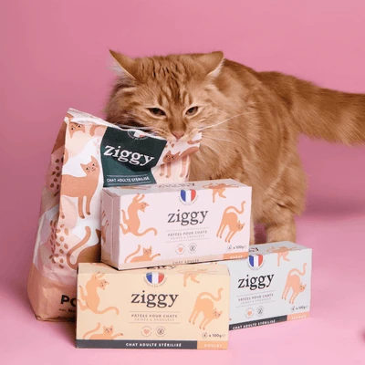 4 Pâtées Chat Stérilisé Sans Céréales