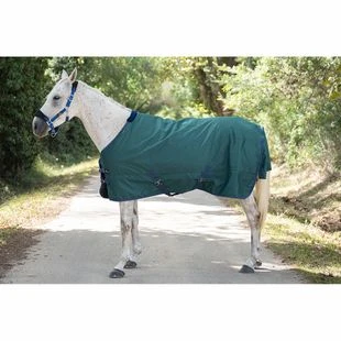 Ride & Rug Couverture de paddock Danka (Vert) | privatesportshop.fr