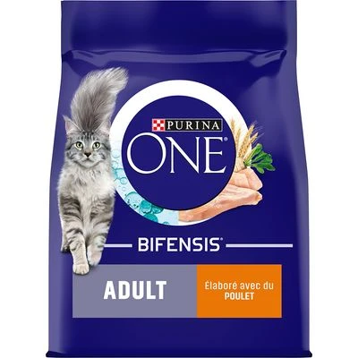 PURINA ONE Adulte poulet, céréales complètes pour chat