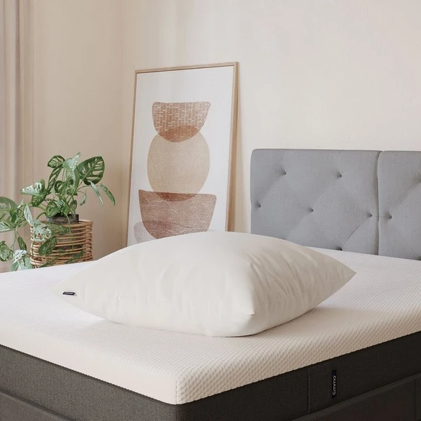 Oreiller Original - 60 cm x 60 cm