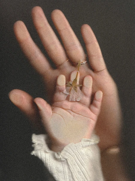 Laura 𓇢 𓆸 sur Instagram: "Nos mains entrelacées 🌸📸 je scannais juste des fleurs de cerisiers que j’ai faites sécher au printemps … pour pouvoir les utiliser comme je fais tout le temps pour cacher le visage de ma douce bébé, puis pour l’amuser on a mis nos mains dans le scanner et je ne sais pas pourquoi mais j’adore cette image imparfaite et spontanée 🌸"