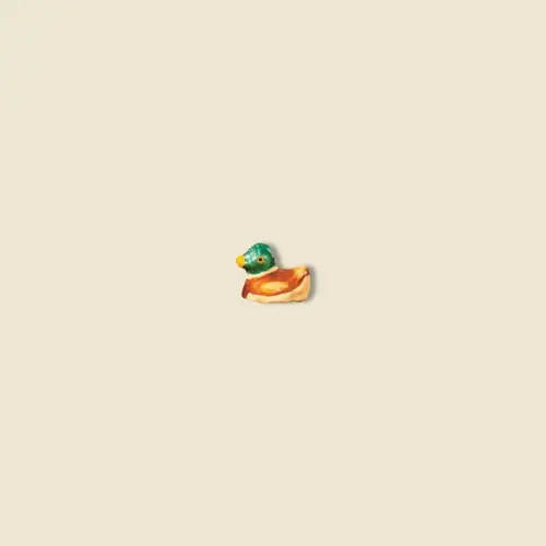 Canard 2 cm