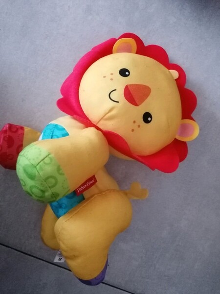 Lion bébé