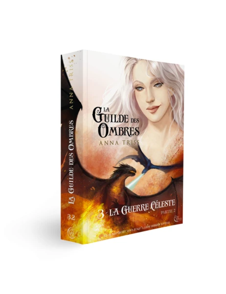 La Guilde des Ombres, Tome 3, Partie 2