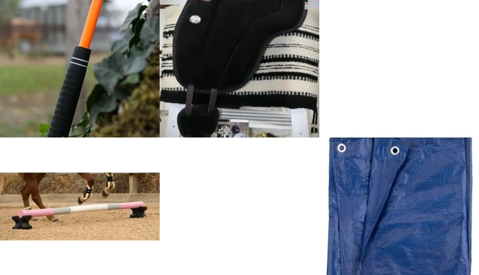 horsemanship 