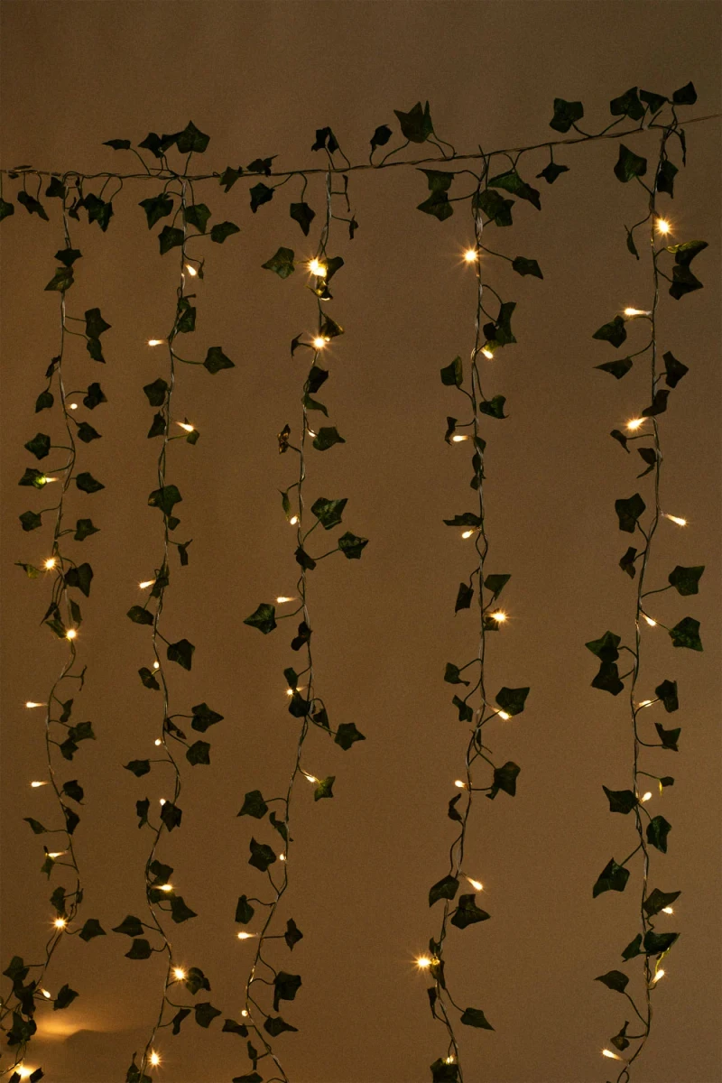 Rideau décoratif avec lumières LED 1,5 m Claire