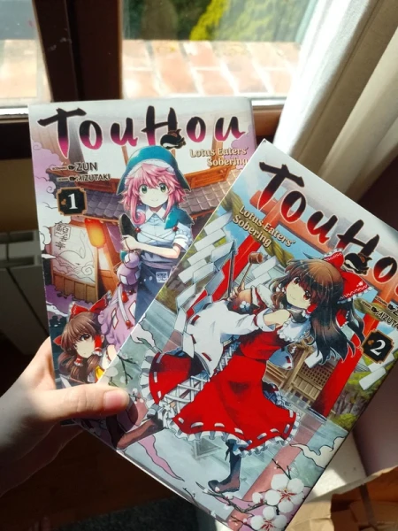 Lot de 2 mangas TouHou | Vinted