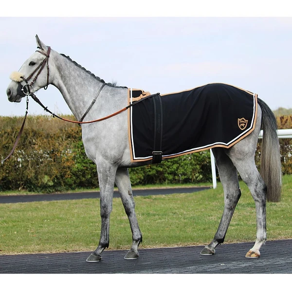 Hand walk exercise rug sport