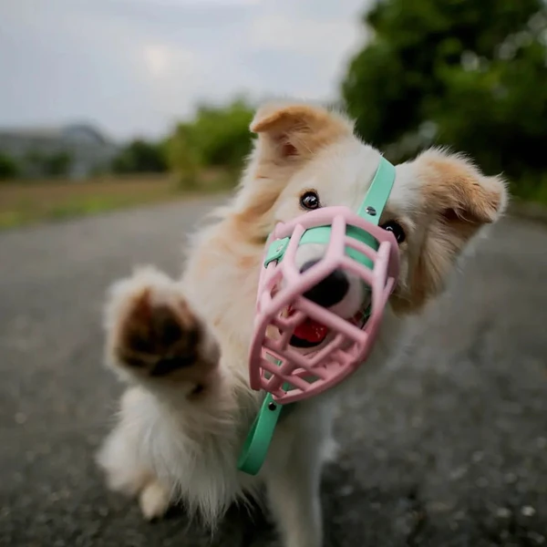 Muzzles