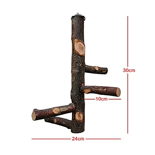 Perchoir pour Cage de Perroquet Jouets pour Perruche Perchoir en Bois Naturel pour 3 ou 4 Petits ou Moyens, Cacatoès, Conure, Perruche, Oiseau d'amour, Pinson