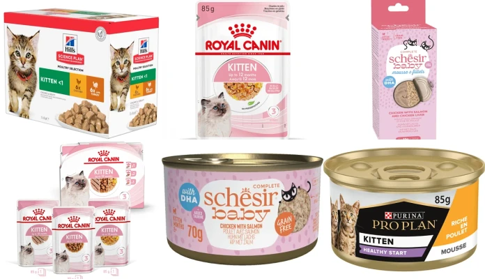 Besoins pour chatons (zoomalia)