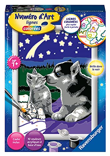 Chaton et son compagnon le lapin | Peinture par numéros enfant
