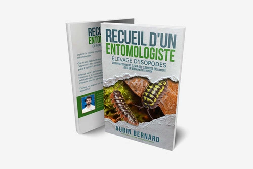 Recueil d'un Entomologiste - Elevage d'Isopodes