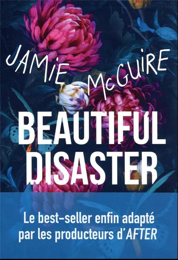 Beautiful disaster de Jamie McGuire