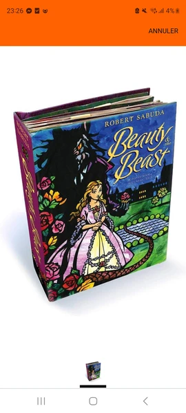 Livre pop up