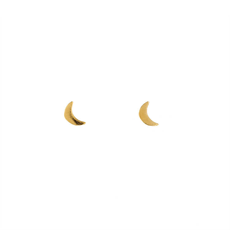 Puces Baby Moon