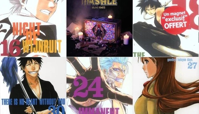 Mangas (neufs et non d'occasion SVP)